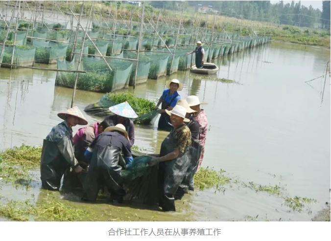 微信截图_20240813151640.png