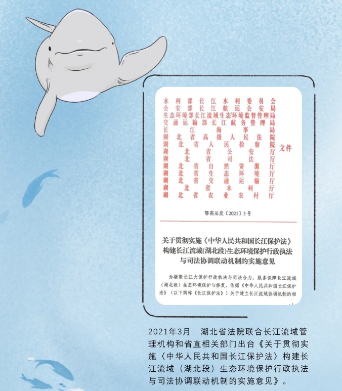 13.png