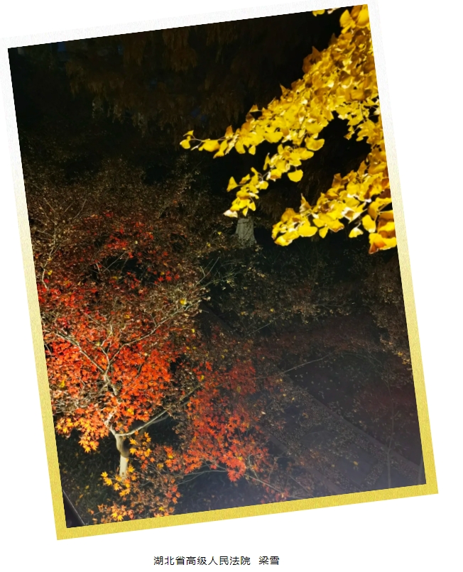18.png