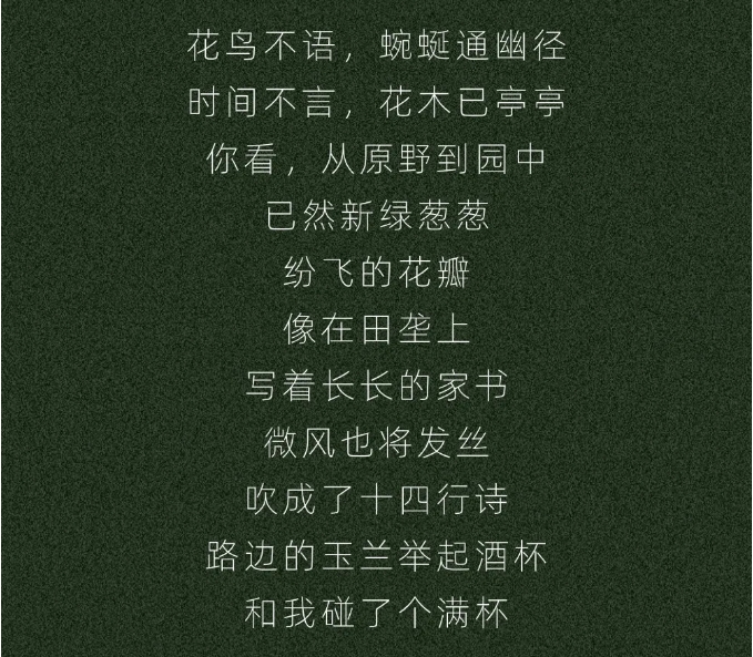 13.png