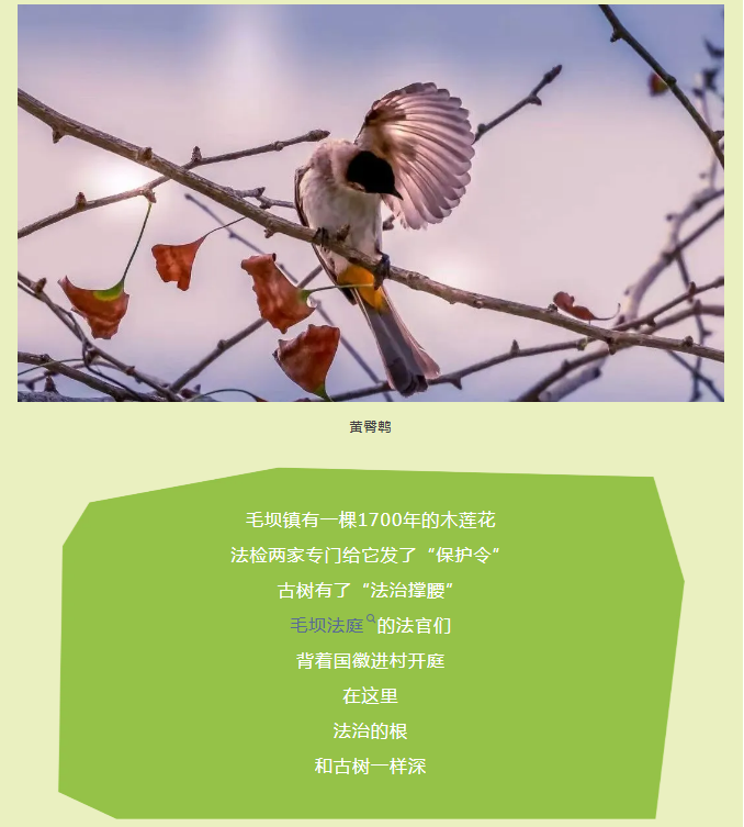 39.png