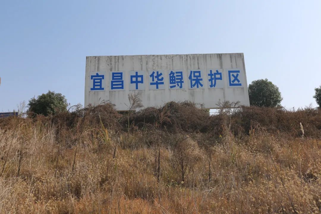 微信图片_20230201153236.jpg