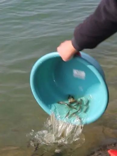 微信图片_20230201153308.jpg