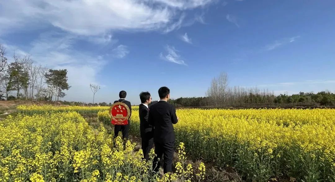 微信图片_20230327113854.jpg
