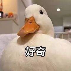 微信图片_20230511150720.jpg