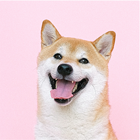 12.png